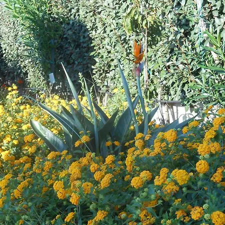 La Stintino