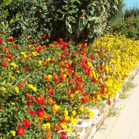 Oda ve Kahvaltı La