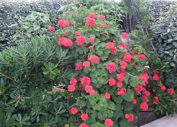 La Oda ve Kahvaltı 3*