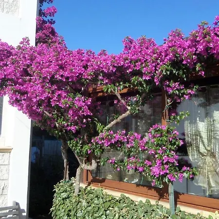 La Alojamento de Acomodação e Pequeno-almoço Stintino