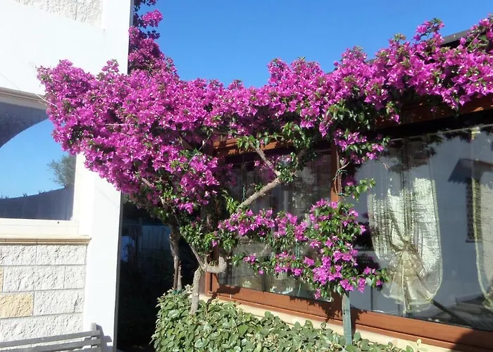 La Bed and breakfast Stintino